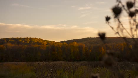 Herbstzeitraffer-In-Der-Natur-Mit-Vorbeiziehenden-Wolken-Und-Pflanzen-Im-Vordergrund