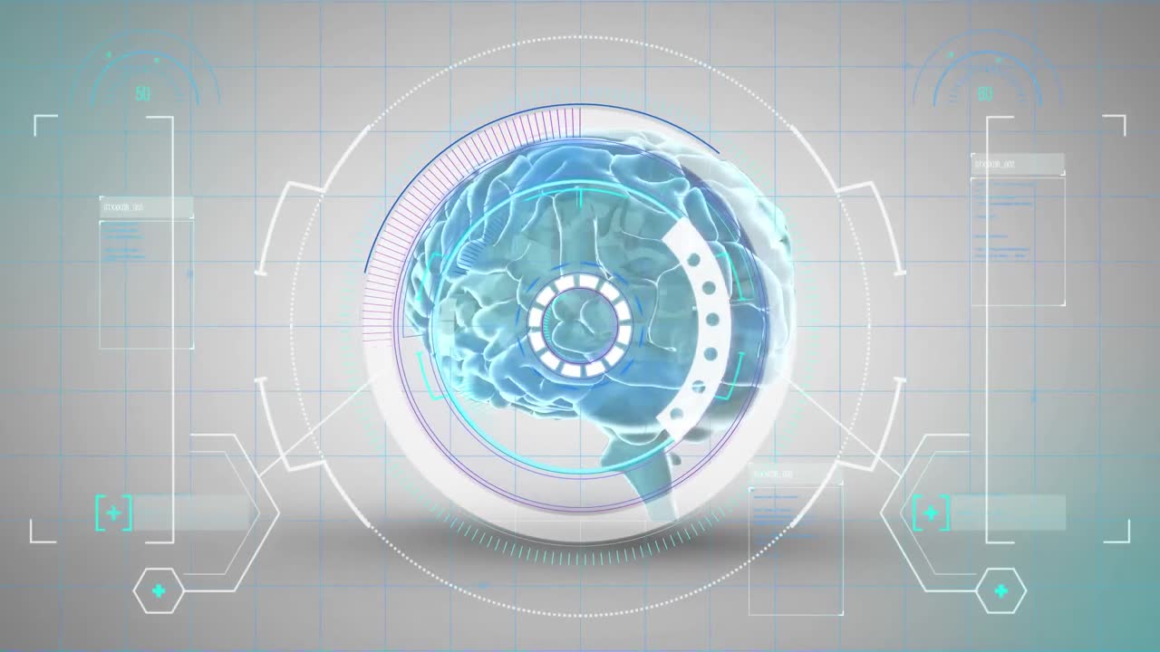 인간 뇌를 통해 데이터 처리의 애니메이션