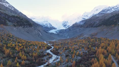 vista aérea del glaciar morteratsch en engadine, graubünden, suiza, que fluye a través de un valle lleno de coloridos bosques de otoño, creando una escena impresionante de la belleza y el poder de la naturaleza.