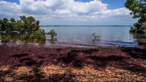 Time-lapse-of-tide-pools-receding-at-Wellington-Point-Queensland-Australia-1