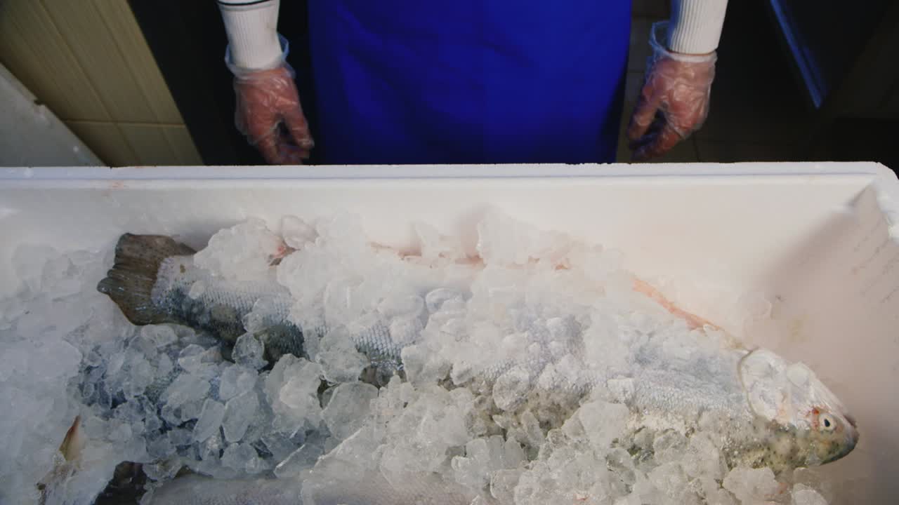 얼음으로 식힌 큰 연어를 보여주는 손 1