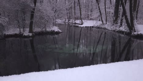 Tranquilo-Invierno-Cubierto-De-Nieve-Niebieskie-Źródła-Polaco-Blue-Springs-Piscinas-Reserva-Natural