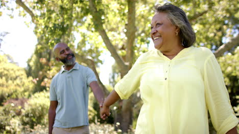 holding hands, senior couple walking and smiling in sunny park