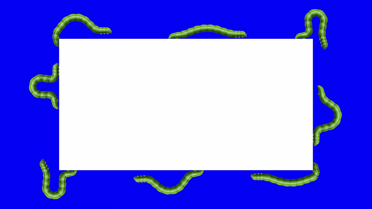 색 직사각형의 애벌레, 루핑 3d 애니메이션