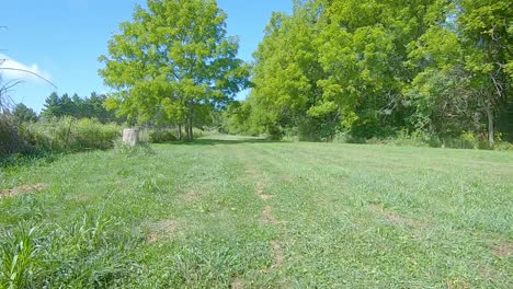 pov driving small tractor over grassy area bound by trees and a fence line on a sunny summer day