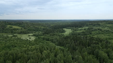 aerial view of a green forest valley landscape