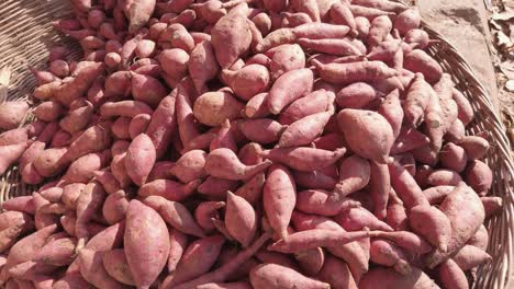 a big pile of sweet potatoes in a basket ready for sale