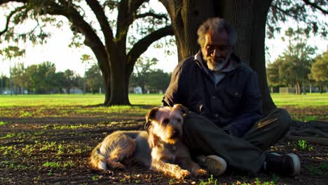 a heartwarming moment of connection between a gentle senior man and his loyal dog in a peaceful park setting surrounded by majestic trees and nature's beauty