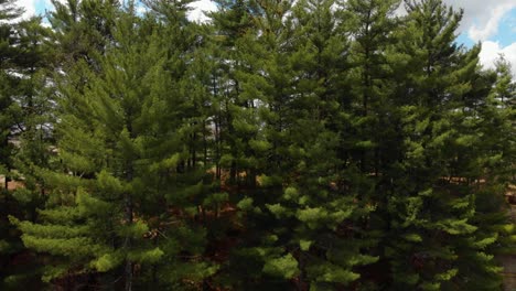 Reveal-of-Wisconsin-countryside-over-a-rockface-at-a-county-park