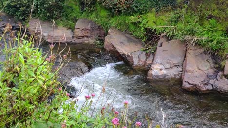 River-in-Boscastle-village-,-Cornwall