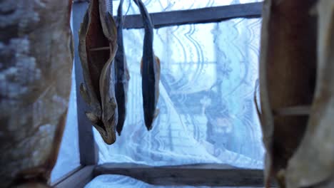 freshly caught fish are hung to dry on a wooden rack near the seaside, set against a backdrop of lace curtains and a clear sky