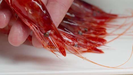 hand serves red shrimp on a plate on a wooden table