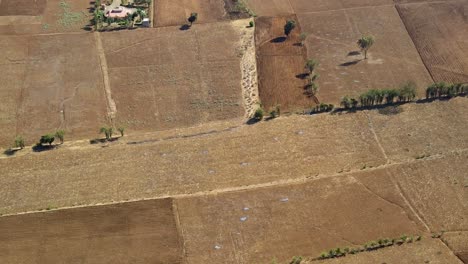 Drone-Vista-De-La-Kenia-Rural