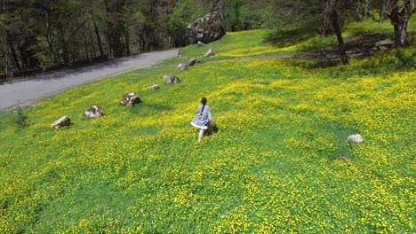 woman walking through a yellow flower field