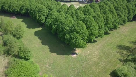 drone footage of flying up at the city park in a star shape in europe-holland in 4k