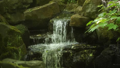 handheld static shot of waterfall flowing through large mossy stones in endcliffe park, sheffield, england