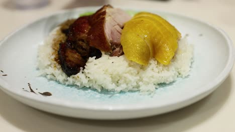 plate with rice, duck, and chicken slices