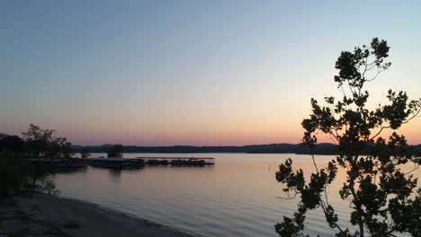 Aerial-view-of-a-lake-at-sunset-then-lowering-behind-a-tree-that-is-silhouetted