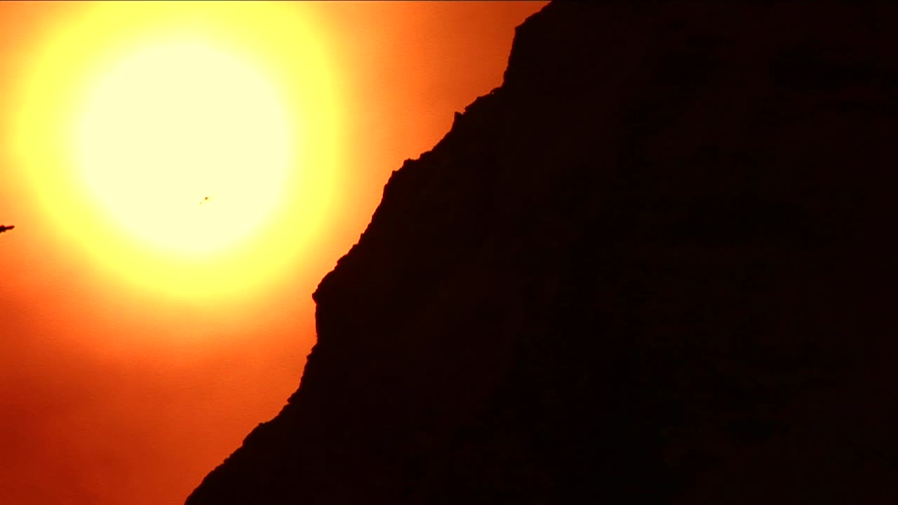 силуэт горного хребта, пролетающая птица