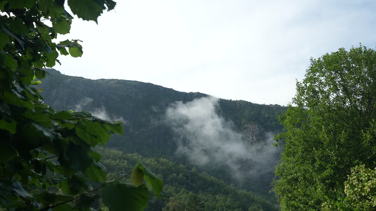 Misty clouds gently drift over a mountain, creating a tranquil atmosphere amidst vibrant green trees in the early morning light