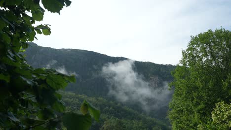 misty clouds gently drift over a mountain, creating a tranquil atmosphere amidst vibrant green trees in the early morning light
