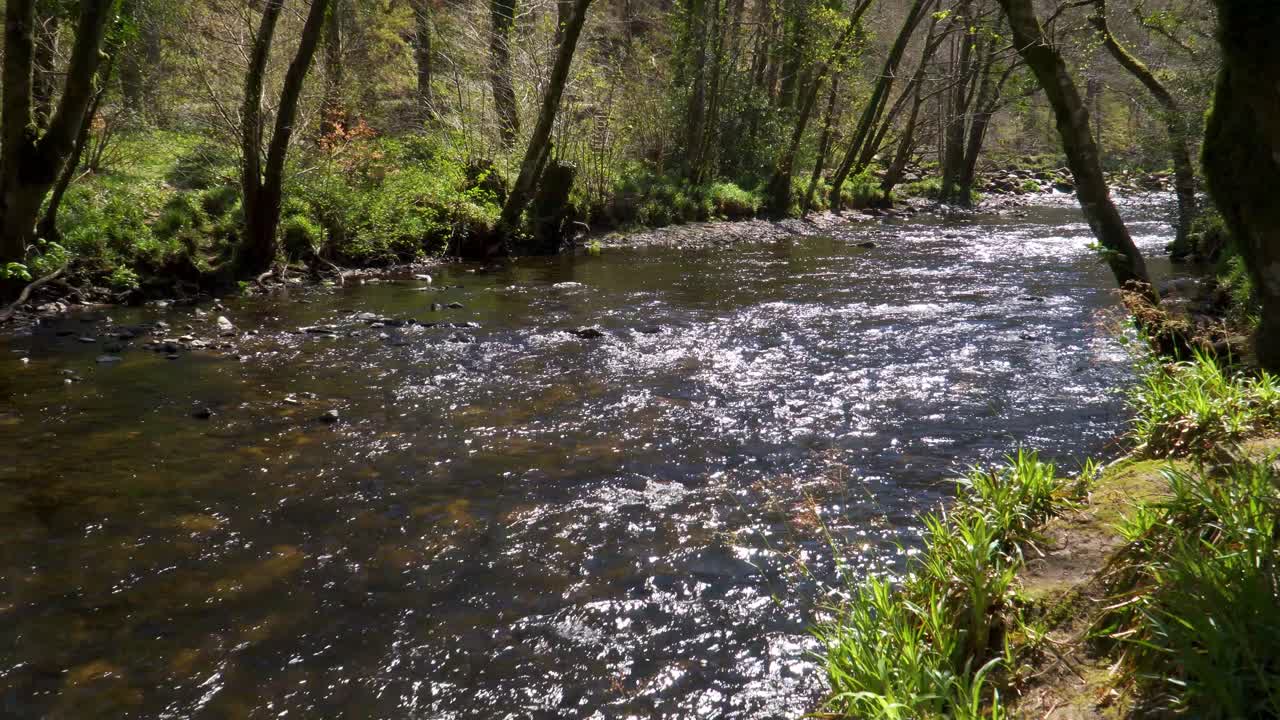 Ferskvand strømmer ned ad floden Teign i Dartmoor Nationalpark