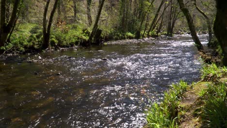 fresh water flowing down the river teign in dartmoor national park