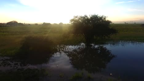 Dawning-on-crops-in-Mexico