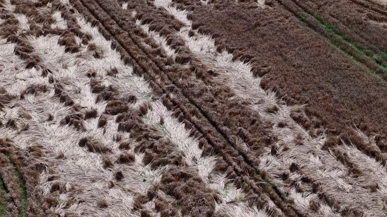 Flooded brown fields with damaged crops near Vilnius, Lithuania after rain