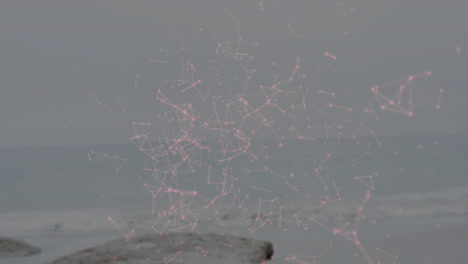 pink network of connections animation over ocean waves and rocky shore