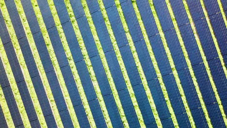 Drone-producing-eye-capturing-visual-effect-by-rotating-high-above-rows-of-solar-panels