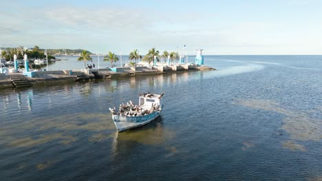 Aerial-drone-view-of-Campeche-seashore-where-pelicans-sit-in-an-old-colourful-boat