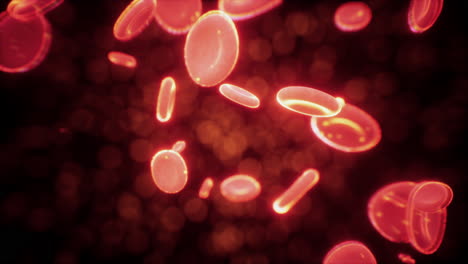 Healthy-human-red-bloodcells-abstract-concept