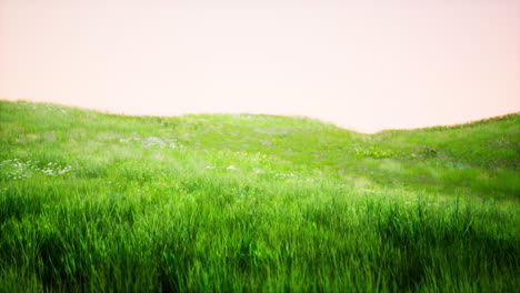 green grass landscape with hills and blue sky