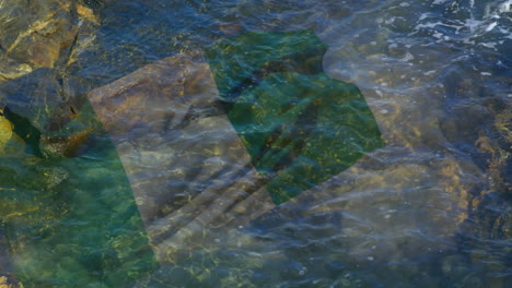 animation of flag of united states of america blowing over sea in rockpool