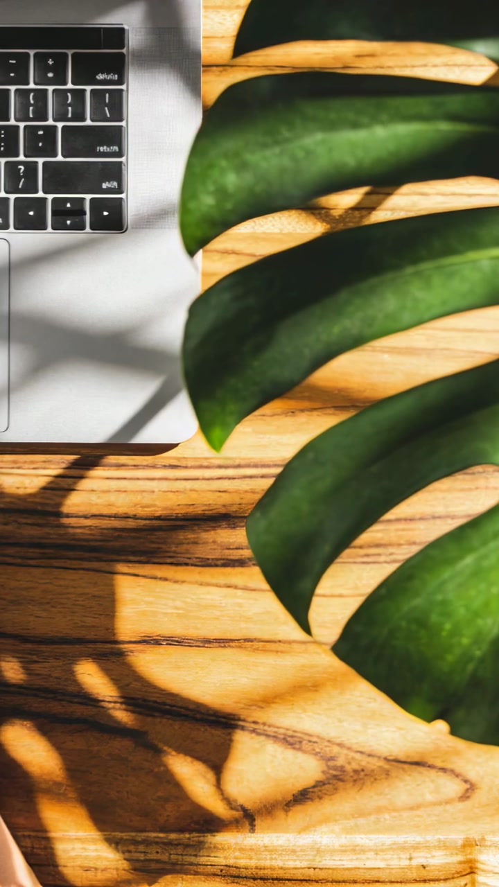 Vertical video: Shifting green leaf reacting to breeze and slat shadows on wood desk, laptop