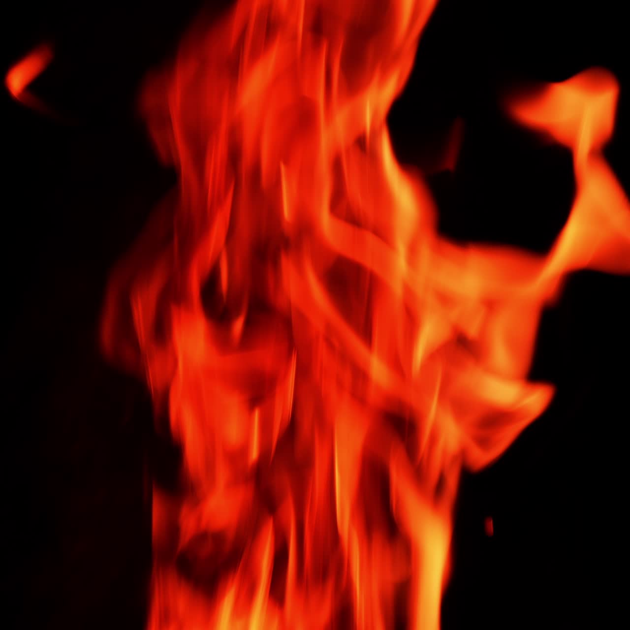 Beautiful fire flame going up. Burning flame isolated on the black backdrop