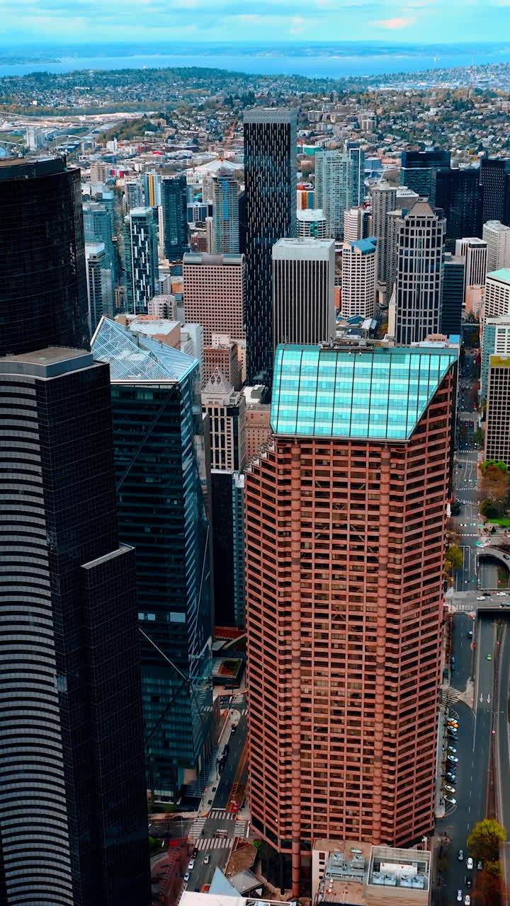 American modern Seattle district. Business center aerial view city. Vertical video
