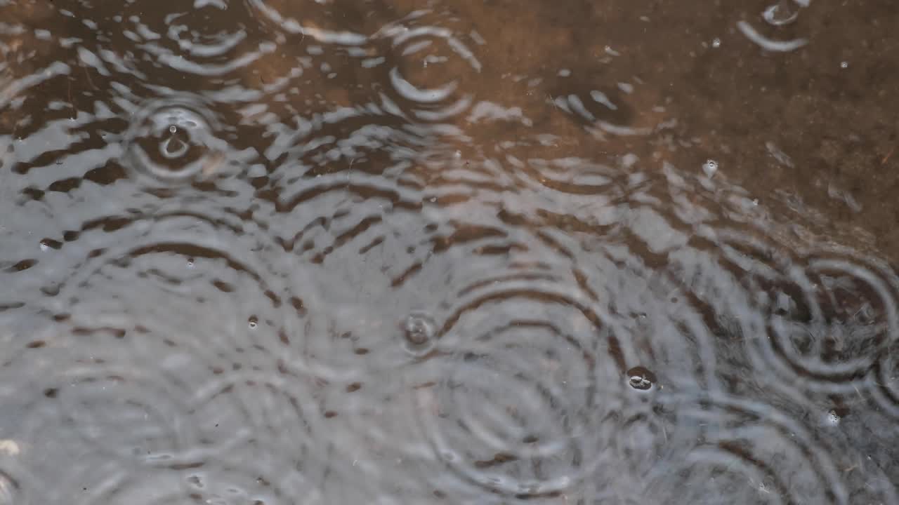 땅에 웅덩이에 떨어지는 빗방울
