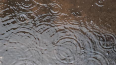 regentropfen fallen in die pfütze auf dem boden