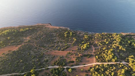 Vista-Aérea-De-Drones-De-Acantilados-Con-Vegetación-En-La-Impresionante-Bahía-Cerca-De-Sa-Coma-En-Mallorca,-España