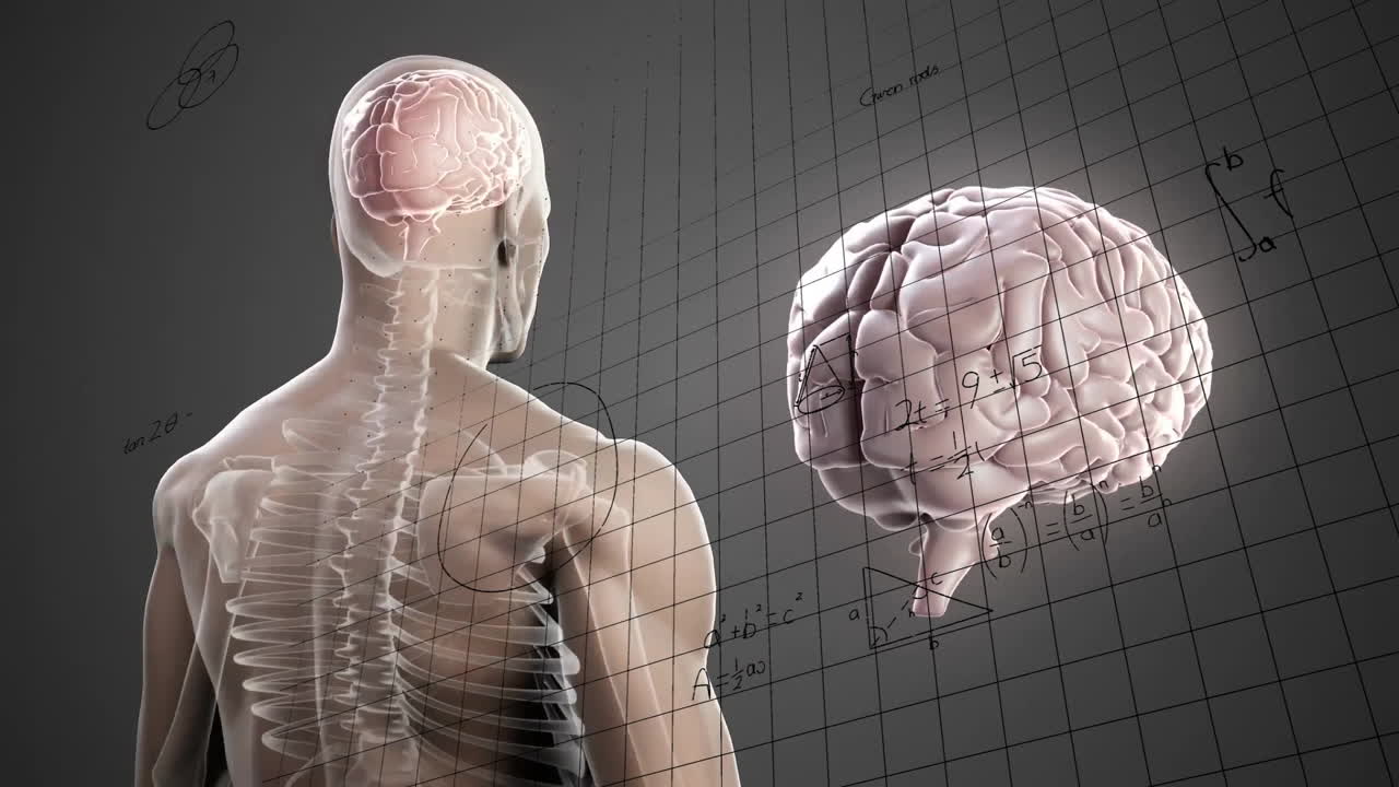 Animation of human anatomy with brain and spine, mathematical equations overlay