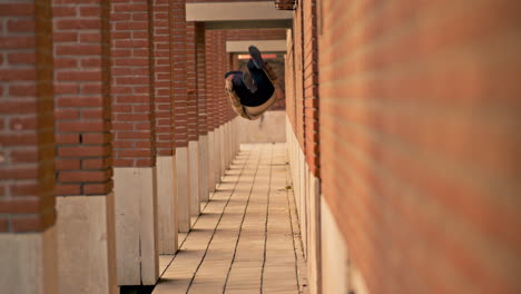 man walking/running in an alleyway