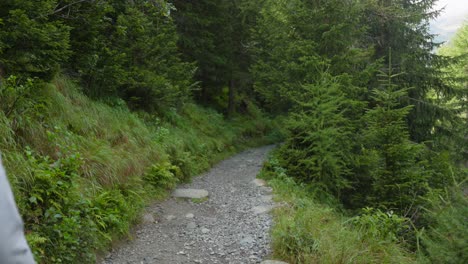 Fit-hiker-walks-past-camera-while-climbing-rocky-mountain-trail