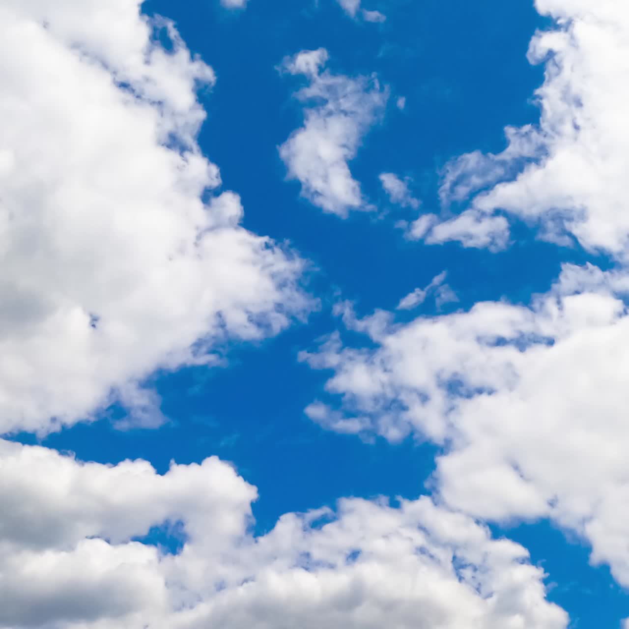 Cumulus white soft clouds transforming quickly in the atmosphere. Low angle view. Timelapse
