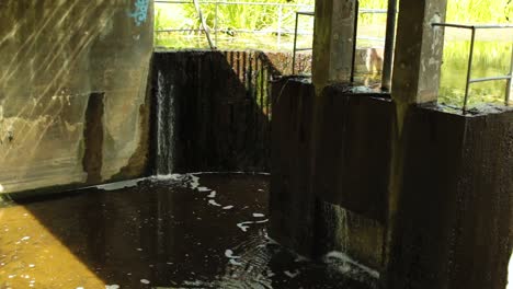 Lake-dam,-water-pouring-in-the-day