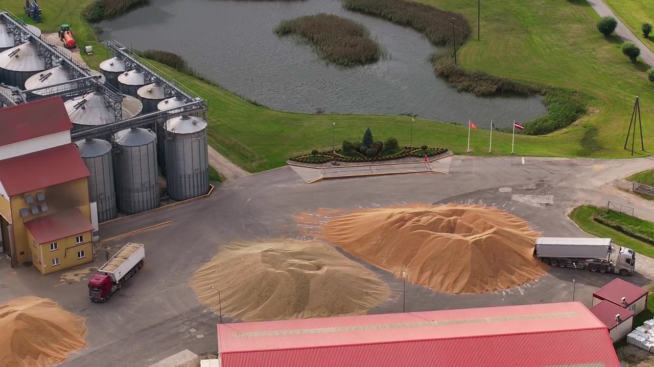 Imagens aéreas de drone de um caminhão descarregando grãos colhidos em uma grande instalação agrícola de armazenamento de grãos com silos e pilhas de grãos na Letônia