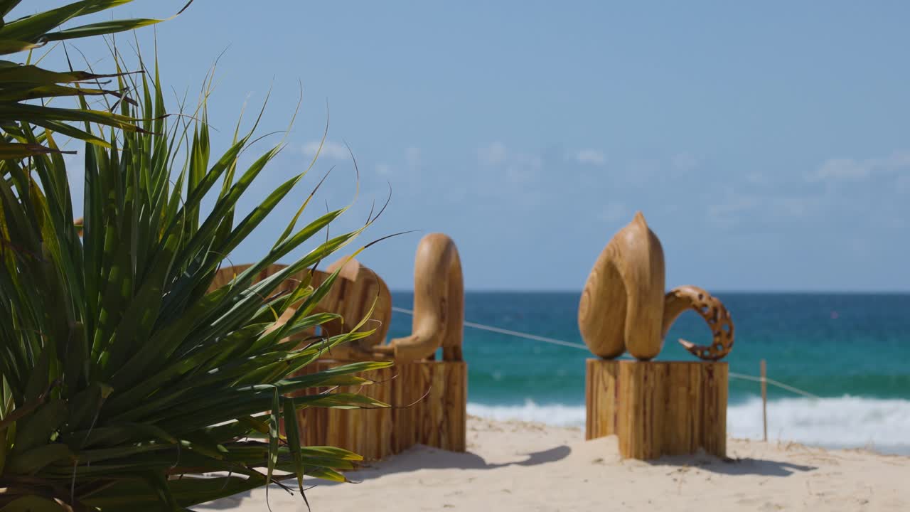 Scultura in legno sulla spiaggia di Currumbin, Gold Coast