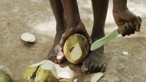 tanzanian man peeling coconut with knife in spice farm, zanzibar, tanzania, africa