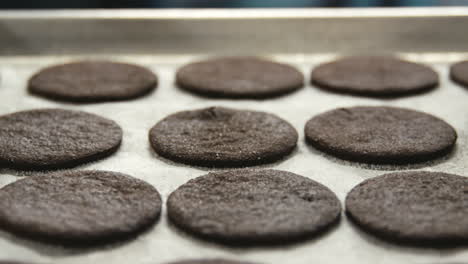 círculos de masa de galletas oscuras en una bandeja de panadería en una panadería